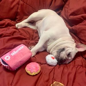 Meet your Posher, Jasmine